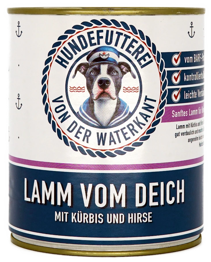 Lamm vom Deich